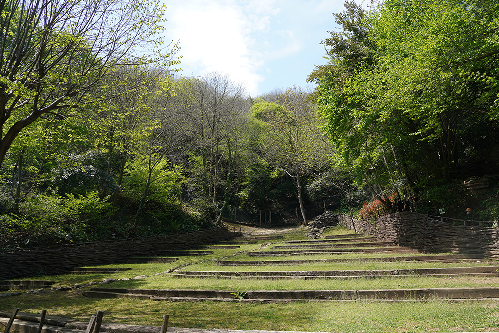 Beykoz Doğa - Camping Area